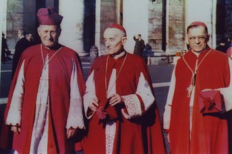 Slovenskí biskupi boli najprv rezervovaní. Napokon prispeli dôležitými postrehmi