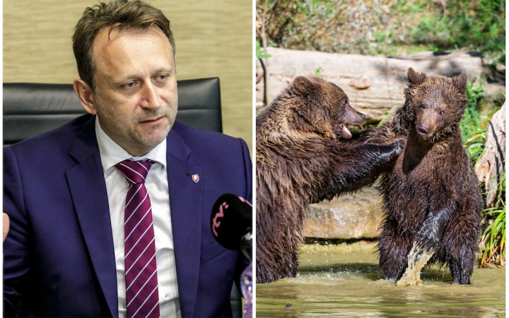 Európske aj slovenské právo pozná viacero možností manažovania počtu medveďa