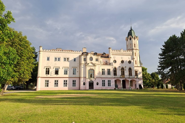 Kolégium offline: Ako vyzerala letná dovolenka v réžii slovenského Oxfordu