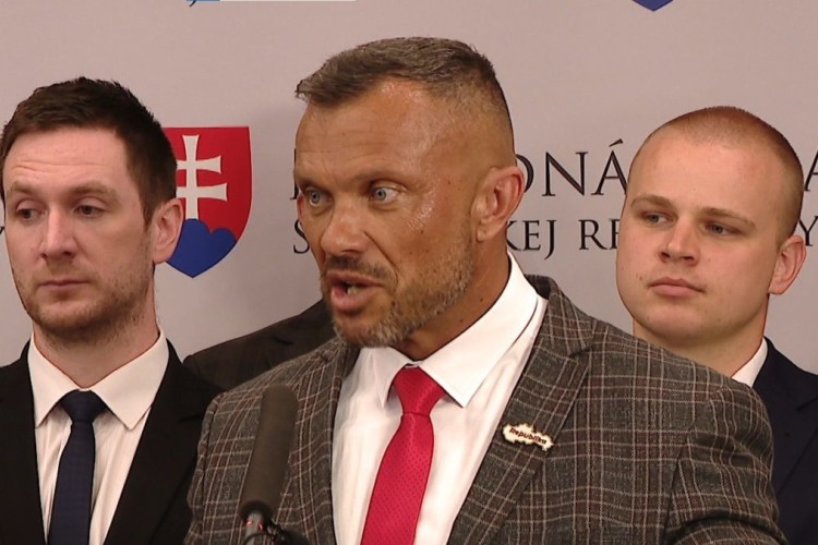 Politická strana, či organizovaná skupina? 