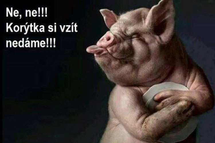 Daňové peklo Slovenská republika