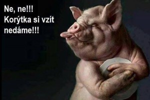 Daňové peklo Slovenská republika