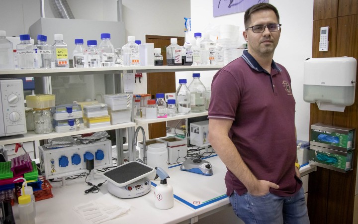 Na Slovensku máme špičkový med. Je čas, aby sa začal bežne používať i v medicíne