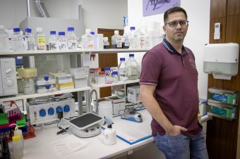 Na Slovensku máme špičkový med. Je čas, aby sa začal bežne používať i v medicíne