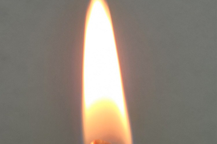 Horlivosť