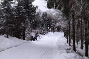 Na bežkách na Skalke 
