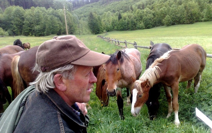 Príde Muránska planina o slovenské plemeno ťažného koňa?