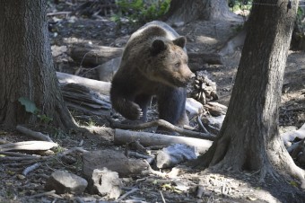 Je plná nezrovnalostí a nepresností, píšu oponenti