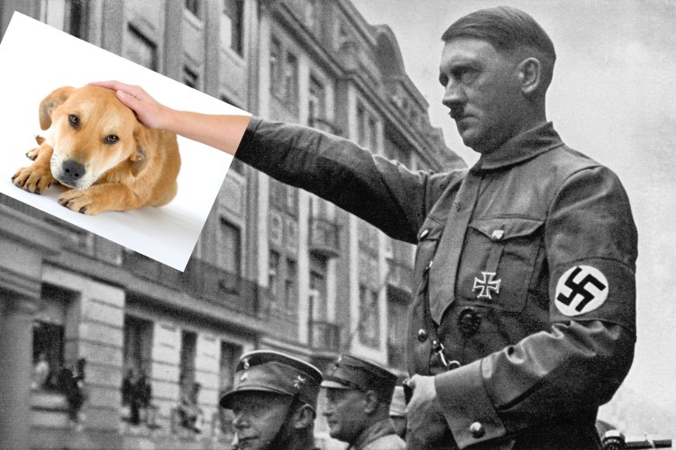 Bolo všetko čo spravil Hitler zlé?