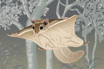 Poletuchy