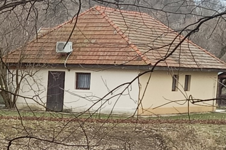 Čo sa na tomto svete deje?