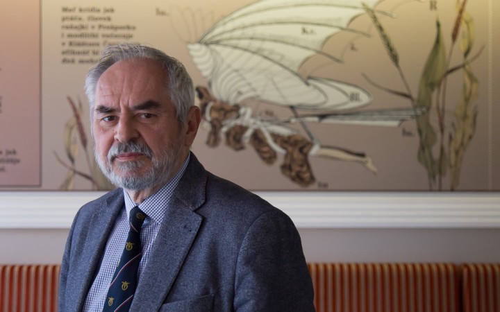 Dve minúty a lietadlo so Štefánikom by pristálo