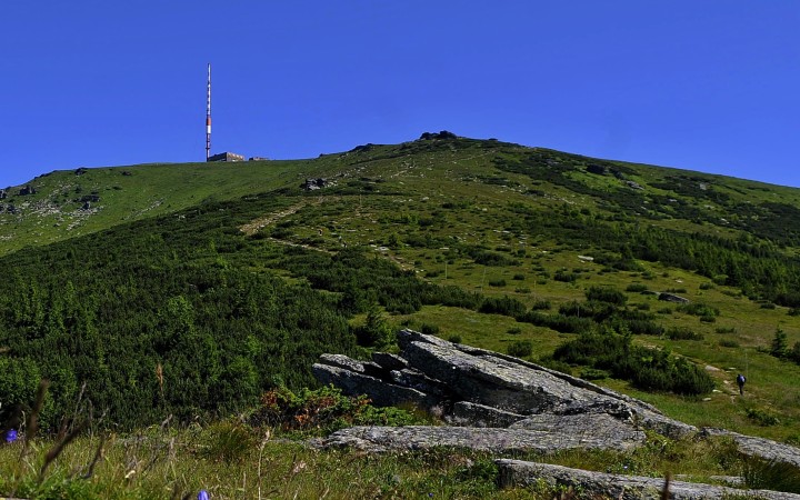 Plošným výrubom v národných parkoch musí odzvoniť, tvrdí Sólymos