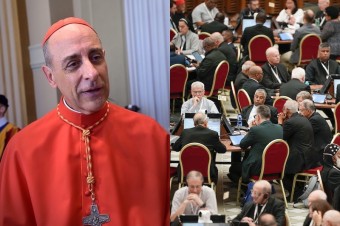 Kardinál Fernández neprišiel referovať o ženských diakonkách, delegáti hovoria o frustrácii z prístupu Vatikánu