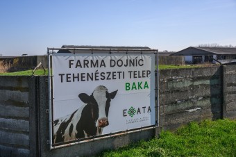 Zastaveniu nákazy pomôže len hermetické uzavretie ohnísk