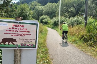 Medveď opäť zabíjal. Prečo je plošný odstrel legitímnou témou