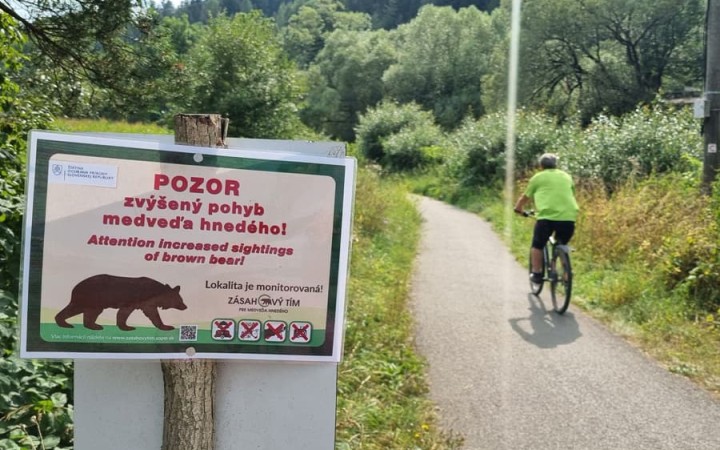 Dovolenkári sa pred cestou pýtajú aj na medvede, ale návštevnosť neklesá