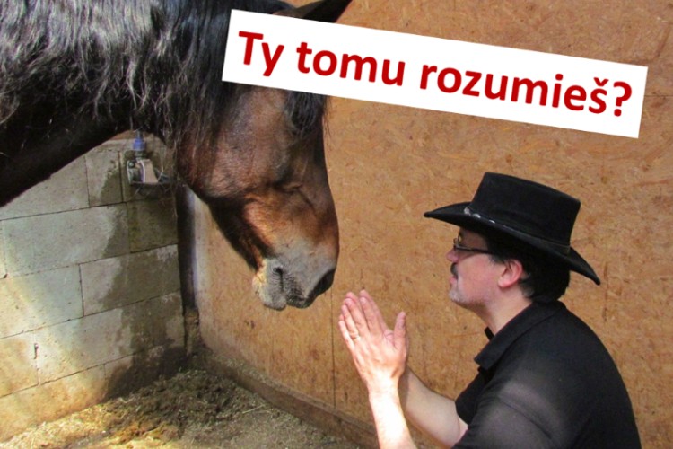 Ministerstvo hádže školstvu ďalšie polená pod nohy