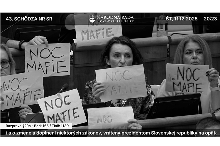 Národná (z)rada SR / Cirkev – umlčané svedomie národa