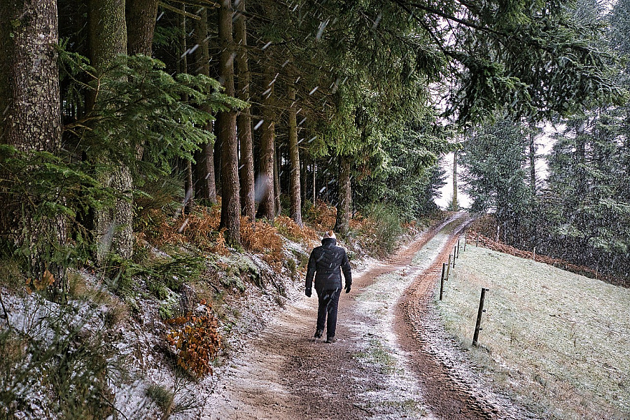 Bežná prechádzka sa môže premeniť na skutočný tréning. Výzva, ako si zlepšiť výkon