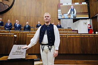 Tento parlament má väčší problém ako len hlúposť