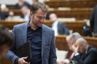 Matovičova koalícia, Maďari a charizmatici