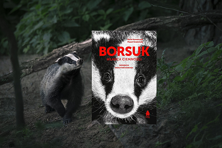 Poľský novinár P. Średzinský: Poľské šelmy na Slovensku a fenomén Emil