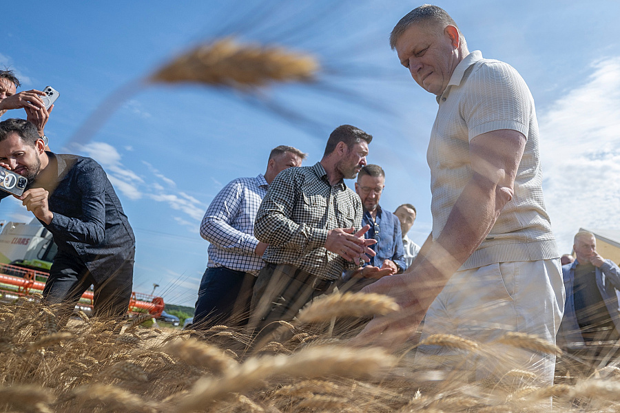 Nerobte z vlády fackovacieho panáka, odpovedal Robert Fico