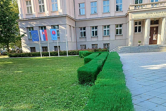 Matica slovenská tvrdí, že vyschnutý ker pred budovou v Martine nastriekali na zeleno, aby skrášlili okolie areálu počas konania festivalu