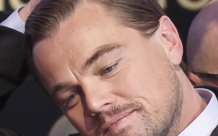 Pápež sa stretol s hercom Leonardom DiCapriom