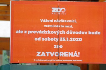 V bojnickej zoo potvrdili výskyt vtáčej chrípky 