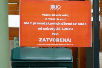 V Národnej zoo v Bojniciach utratili pre výskyt vtáčej chrípky 41 kusov vtáctva