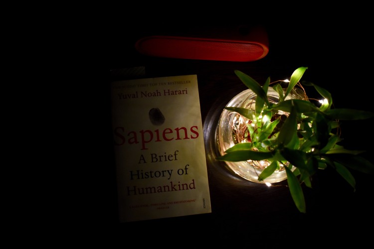 Sapiens - Kritická Recenzia