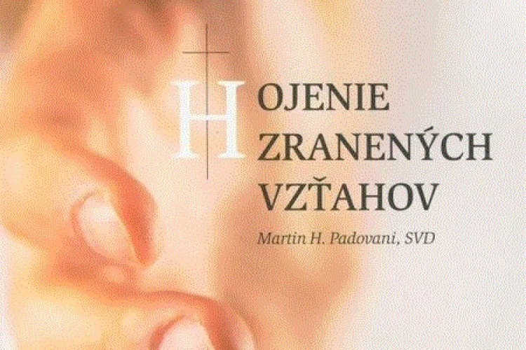 Analýza knihy Hojenie zranených vzťahov, Martin Padovani,SVD