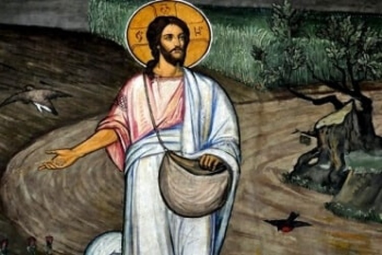 Štyri typy nášho prístupu k Pánovmu slovu