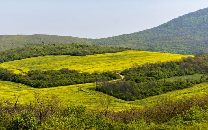 Prečo sú delenie polí a obnova medzí dobré pre poľnohospodárstvo