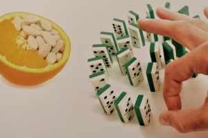 Vitamíny - ale aké, resp. odkiaľ?
