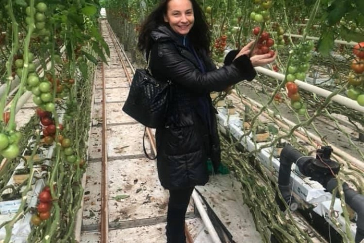 Ako baníci získali svoj kompenzačný príspevok alebo ako pestujú paradajky