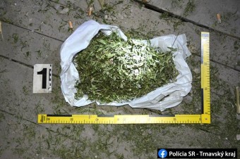 Dekriminalizácia? Len pozor na nebezpečné experimenty