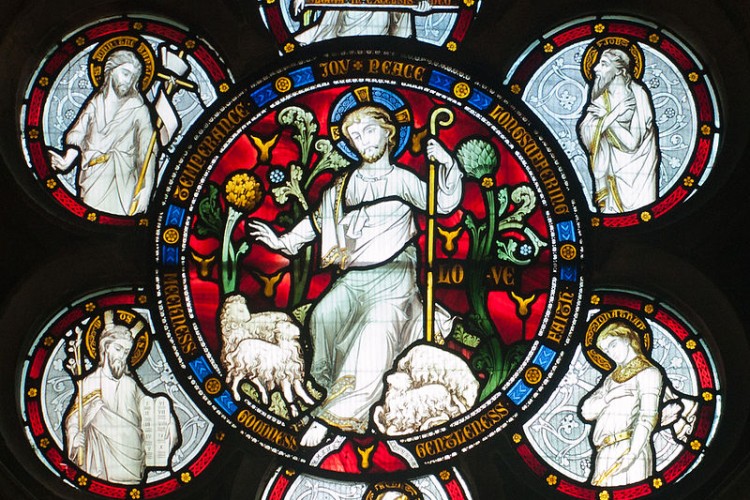 Plodíme z Ducha či zo seba?