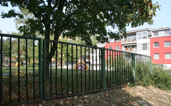 Kauza padnutý strom: Pošle súd učiteľov do väzenia? 