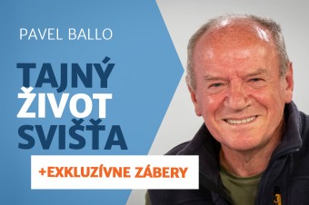 Tajný život svišťa (+ exkluzívne zábery)