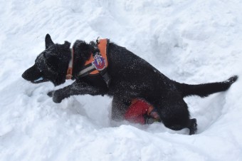 Lavína vo Veľkej Fatre si vyžiadala najmenej jednu obeť