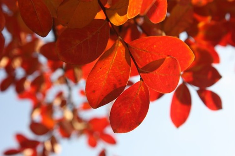 Jeseň. Deti choré, v práci nepochopenie